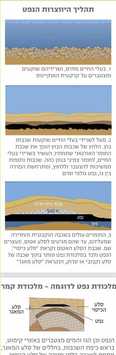תהליך היווצרות הנפט